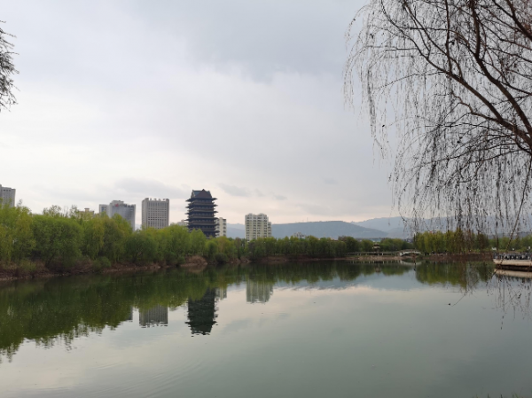 蘭州銀灘黃河濕地公園。新甘肅·甘肅日報記者杜雪琴攝.jpg